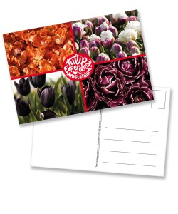Postcard: four-sided card with logo