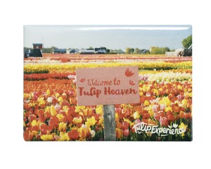 Magneet: Tulip heaven