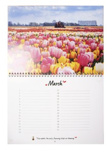 Birthday Calendar