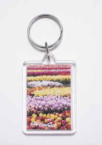 Sleutelhanger diverse tulpen