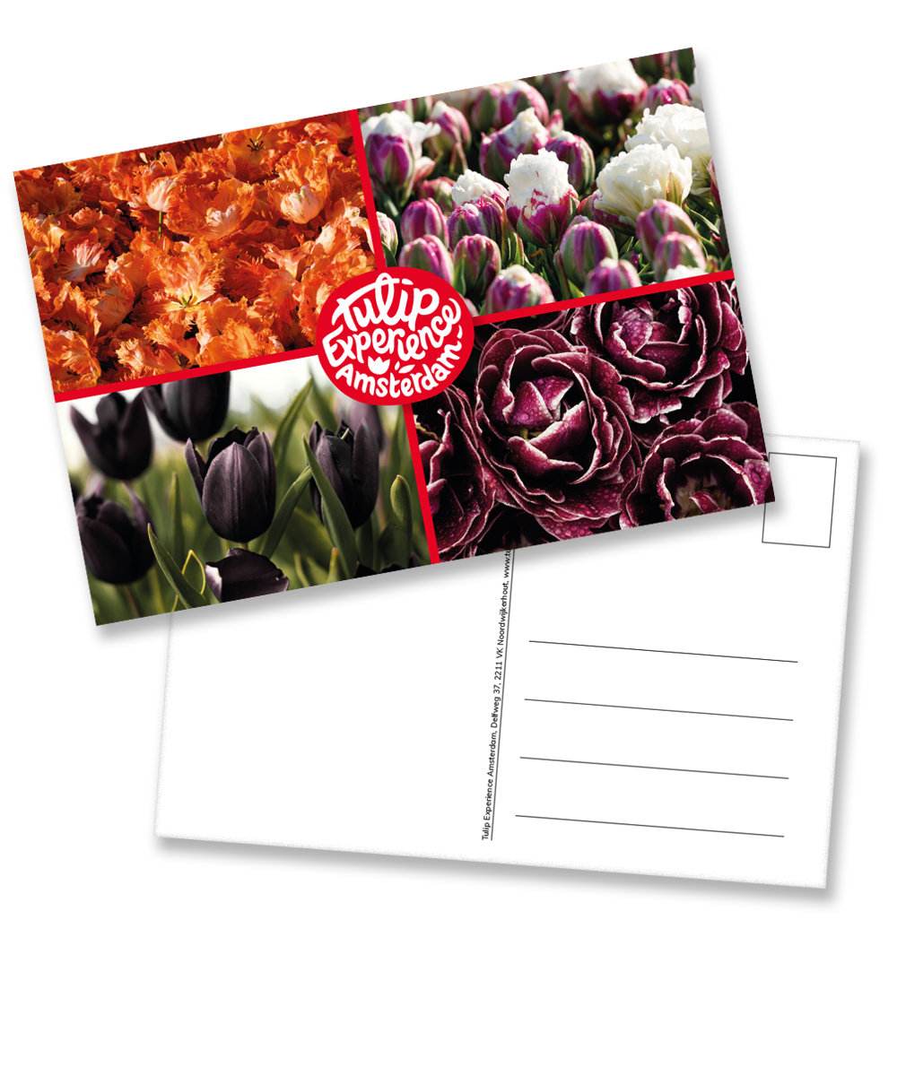 Postcard: four-sided card with logo