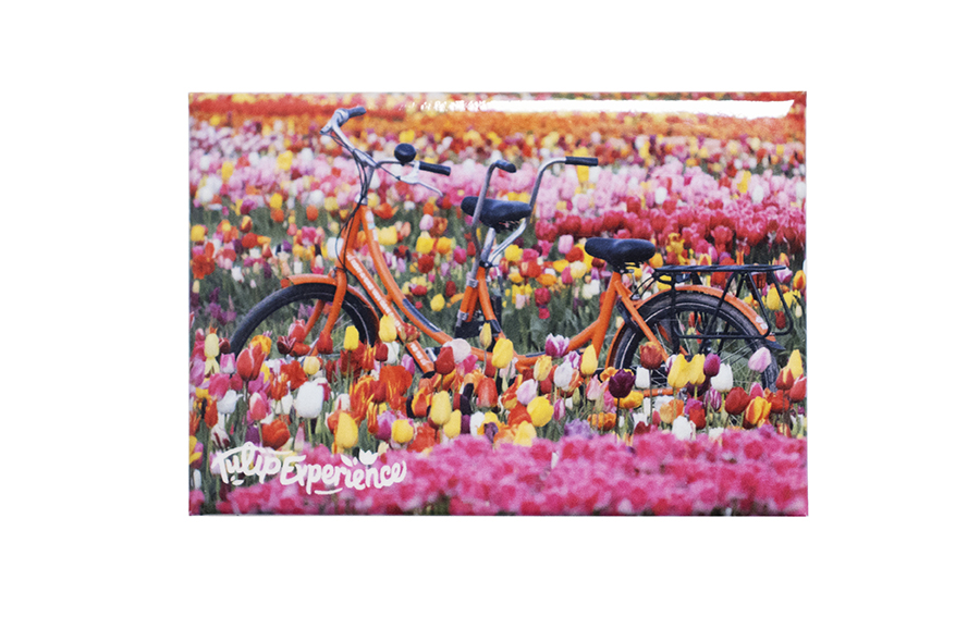 Magneet: Fiets