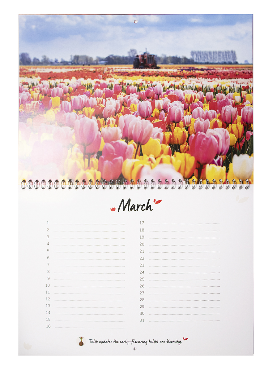 Birthday Calendar