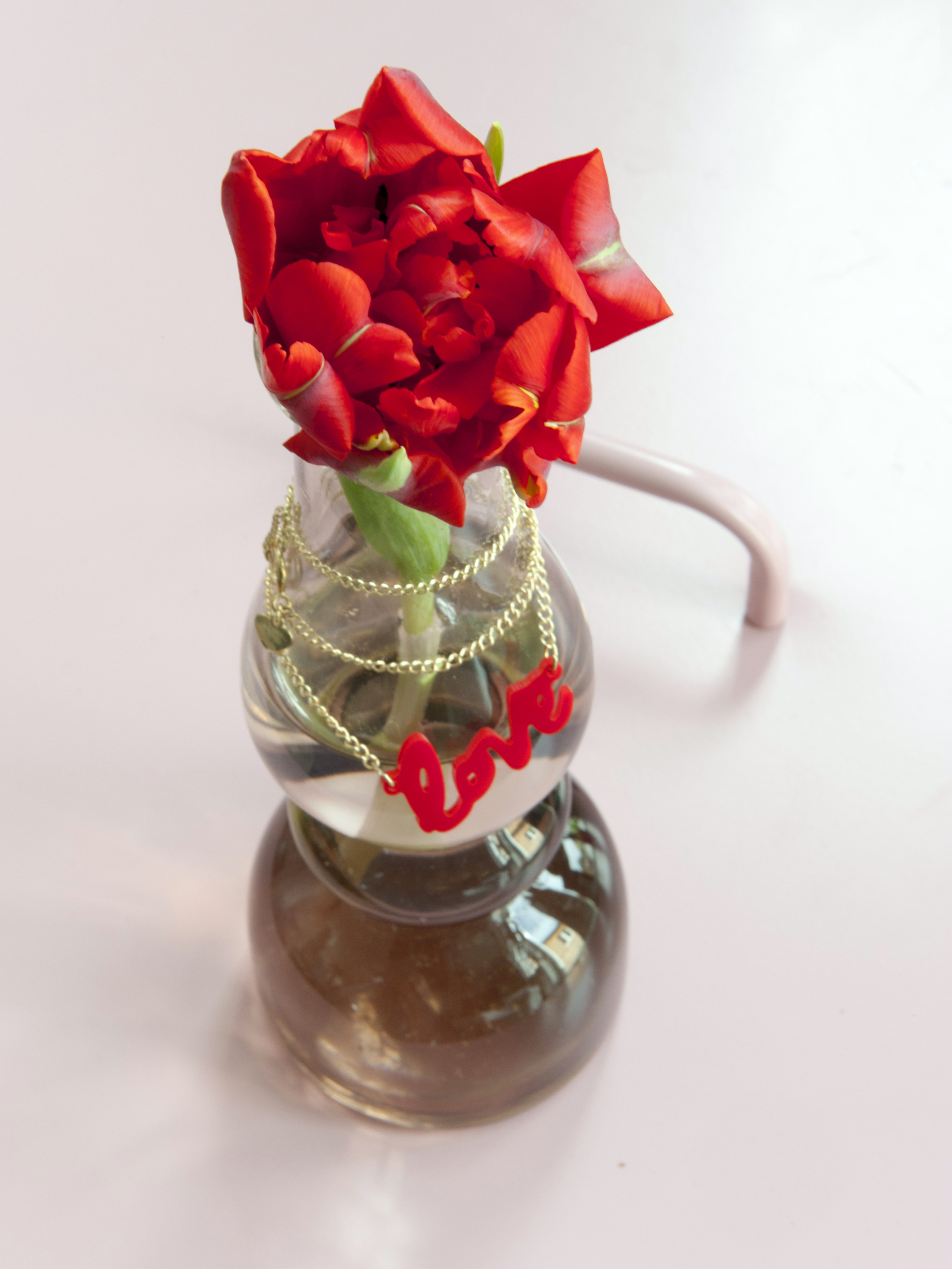 Tulipa double early Abba